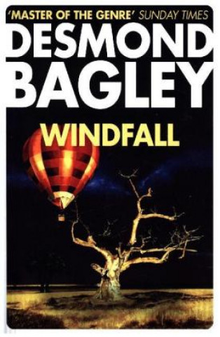 Knjiga Windfall Desmond Bagley