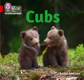 Kniha Cubs Sasha Morton