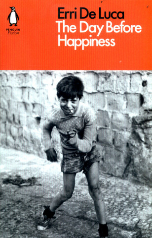 Kniha Day Before Happiness Erri De Luca