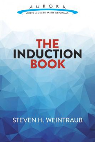 Książka Induction Book Steven Weintraub