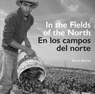 Książka In the Fields of the North / En los campos del norte David Bacon