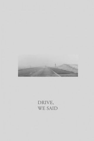 Kniha Drive, We Said Dylan Hansen-Fliedner