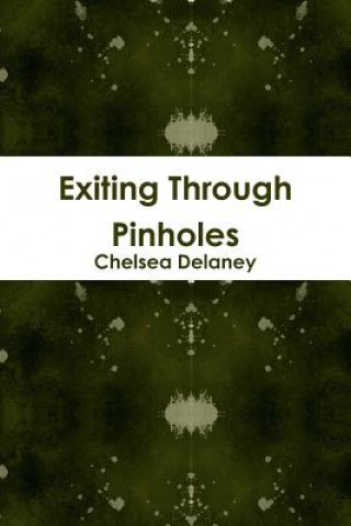 Книга Exiting Through Pinholes Chelsea Delaney