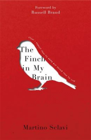 Книга Finch in My Brain MARTINO SCLAVI