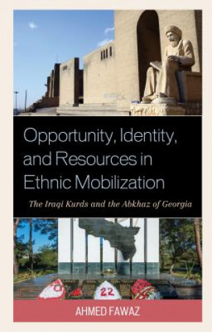 Könyv Opportunity, Identity, and Resources in Ethnic Mobilization Ahmed Abdel-Hafez Fawaz