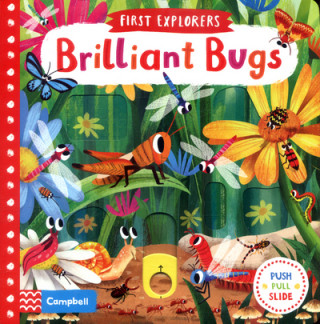 Kniha Brilliant Bugs CHORKUNG