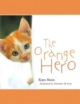 Carte Orange Hero KAYE STEIN