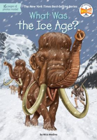 Könyv What Was the Ice Age? Nico Medina