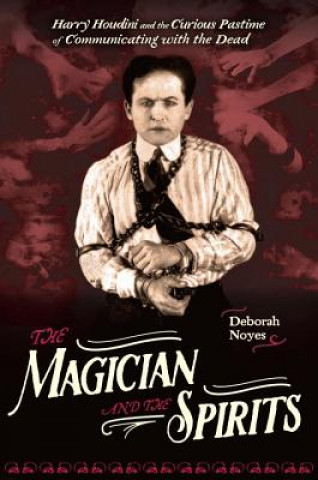 Книга The Magician and the Spirits Deborah Noyes