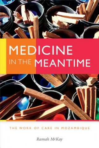 Kniha Medicine in the Meantime Ramah McKay