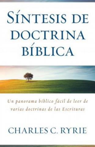 Buch Síntesis de Doctina Bíblica Charles C. Ryrie