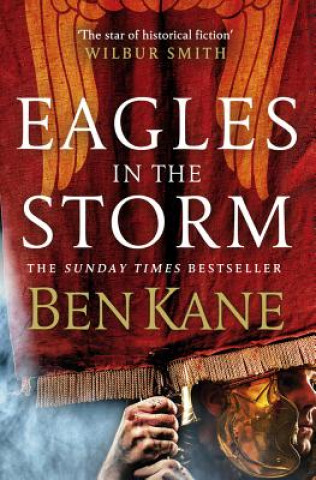 Kniha Eagles in the Storm Ben Kane