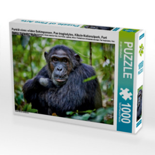 Joc / Jucărie Porträt eines wilden Schimpansen, Pan troglodytes, Kibale-Nationalpark, Fort Portal, Uganda, Afrika (Puzzle) Jürgen Ritterbach