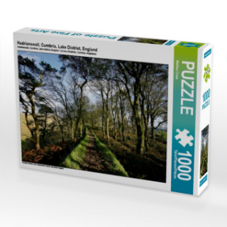 Game/Toy Hadrianswall, Cumbria, Lake District, England (Puzzle) Martina Cross