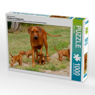 Hra/Hračka Ein Motiv aus dem Kalender Rhodesian Ridgebacks (Puzzle) Anke van Wyk