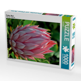 Hra/Hračka Protea, Maui (Puzzle) Uwe Bade