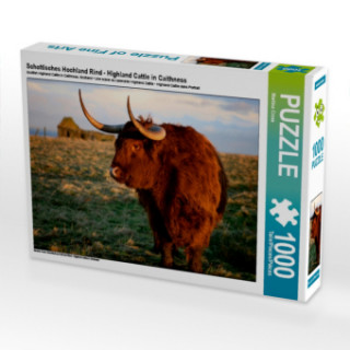 Spiel/Spielzeug Schottisches Hochland Rind - Highland Cattle in Caithness (Puzzle) Martina Cross