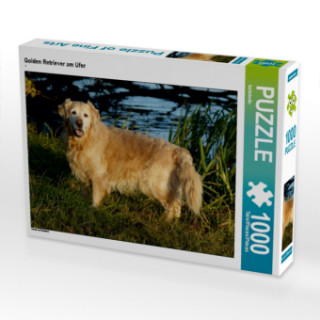 Játék CALVENDO Puzzle Golden Retriever am Ufer 1000 Teile Lege-Größe 64 x 48 cm Foto-Puzzle Bild von kattobello Kattobello