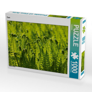 Spiel/Spielzeug CALVENDO Puzzle Farn 1000 Teile Lege-Größe 64 x 48 cm Foto-Puzzle Bild von kattobello Kattobello