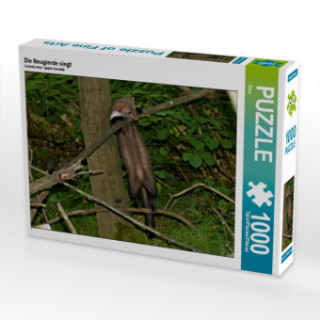 Spiel/Spielzeug Die Neugierde siegt (Puzzle) Nixe