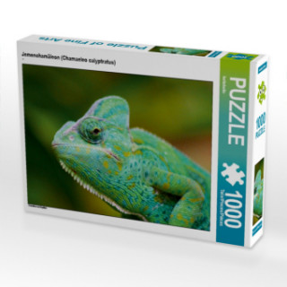 Hra/Hračka CALVENDO Puzzle Jemenchamäleon (Chamaeleo calyptratus) 1000 Teile Lege-Größe 64 x 48 cm Foto-Puzzle Bild von kattobello Kattobello