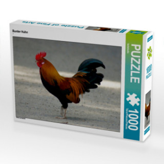 Jeu/jouet CALVENDO Puzzle Bunter Hahn 1000 Teile Lege-Größe 64 x 48 cm Foto-Puzzle Bild von kattobello Kattobello