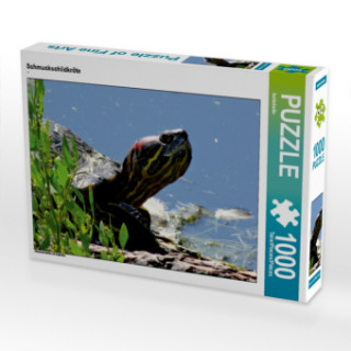 Hra/Hračka CALVENDO Puzzle Schmuckschildkröte 1000 Teile Lege-Größe 64 x 48 cm Foto-Puzzle Bild von kattobello Kattobello