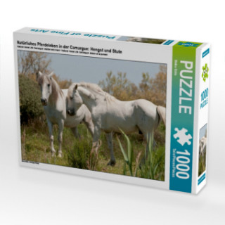 Gioco/giocattolo CALVENDO Puzzle Natürliches Pferdeleben in der Camargue: Hengst und Stute 1000 Teile Lege-Größe 64 x 48 cm Foto-Puzzle Bild von Meike Bölts Meike Bölts