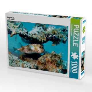 Játék CALVENDO Puzzle Igelfisch 1000 Teile Lege-Größe 64 x 48 cm Foto-Puzzle Bild von Martin Rauchenwald Martin Rauchenwald
