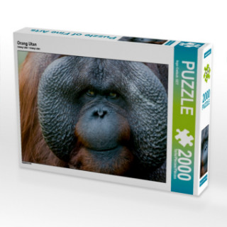 Jeu/jouet Orang Utan (Puzzle) Ingo Gerlach