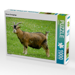 Játék CALVENDO Puzzle Braune Zwergziege 1000 Teile Lege-Größe 64 x 48 cm Foto-Puzzle Bild von Kattobello Kattobello