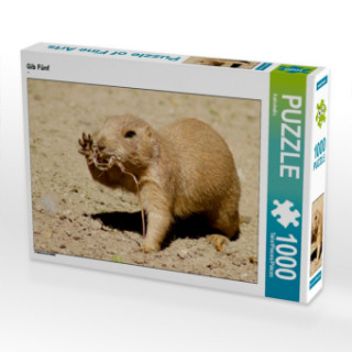 Játék CALVENDO Puzzle Gib Fünf 1000 Teile Lege-Größe 64 x 48 cm Foto-Puzzle Bild von Kattobello Kattobello