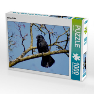 Gioco/giocattolo CALVENDO Puzzle Stolzer Rabe 1000 Teile Lege-Größe 64 x 48 cm Foto-Puzzle Bild von Kattobello Kattobello