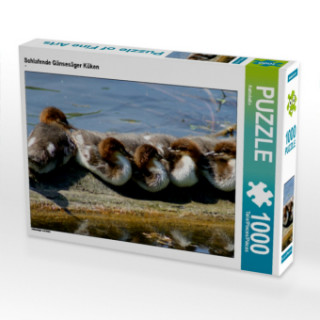 Gra/Zabawka CALVENDO Puzzle Schlafende Gänsesäger Küken 1000 Teile Lege-Größe 64 x 48 cm Foto-Puzzle Bild von Kattobello Kattobello