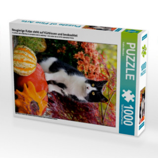 Igra/Igračka Neugierige Katze steht auf Kürbissen und beobachtet (Puzzle) Katho Menden