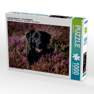 Gioco/giocattolo Labrador Retriever - Treue Begleiter (Puzzle) Martina Cross