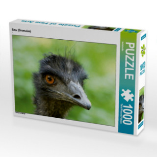 Joc / Jucărie CALVENDO Puzzle Emu (Dromaius) 1000 Teile Lege-Größe 64 x 48 cm Foto-Puzzle Bild von kattobello Kattobello