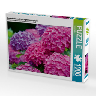 Joc / Jucărie Gartenhortensie (Hydrangea macrophylla) (Puzzle) Bernd Keller