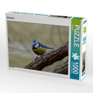 Gioco/giocattolo CALVENDO Puzzle Blaumeise 1000 Teile Lege-Größe 64 x 48 cm Foto-Puzzle Bild von kattobello Kattobello