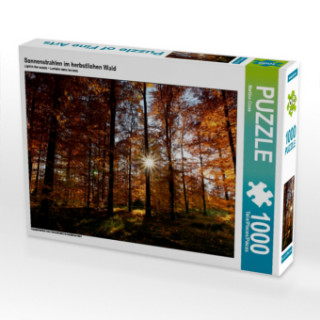 Igra/Igračka Sonnenstrahlen im herbstlichen Wald (Puzzle) Martina Cross