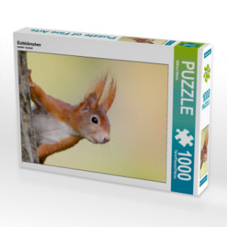 Játék CALVENDO Puzzle Eichhörnchen 1000 Teile Lege-Größe 64 x 48 cm Foto-Puzzle Bild von Wilfried Martin Wilfried Martin