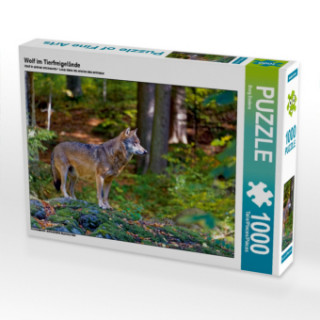 Hra/Hračka Wolf im Tierfreigelände (Puzzle) Borg Enders