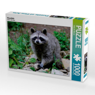 Spiel/Spielzeug CALVENDO Puzzle Waschbär 1000 Teile Lege-Größe 64 x 48 cm Foto-Puzzle Bild von Dieter-M. Wilczek Dieter-M. Wilczek