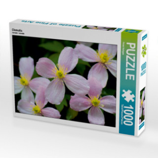 Játék Clematis (Puzzle) Peter Hebgen