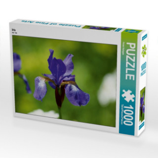 Gra/Zabawka Iris (Puzzle) Peter Hebgen