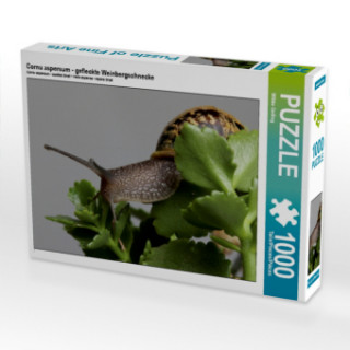 Gra/Zabawka Cornu aspersum - gefleckte Weinbergschnecke (Puzzle) Wibke Geiling