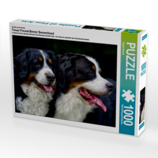 Game/Toy Ein Motiv aus dem Kalender Treuer Freund Berner Sennenhund (Puzzle) Sigrid Starick