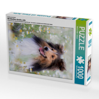 Igra/Igračka Ein Motiv aus dem Kalender Mit Shelties durchs Jahr (Puzzle) Marion Reiß-Seibert