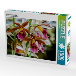 Hra/Hračka CALVENDO Puzzle Phaius Tankervilliae 1000 Teile Lege-Größe 64 x 48 cm Foto-Puzzle Bild von Juergen Woehlke Juergen Woehlke