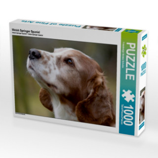 Game/Toy Welsh Springer Spaniel (Puzzle) Verena Scholze